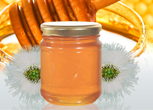 Honmel Natural com Elcalipto